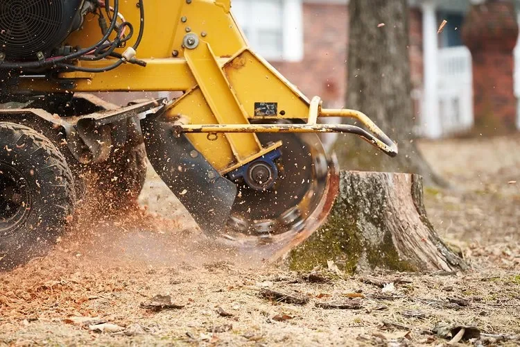 stump grinding